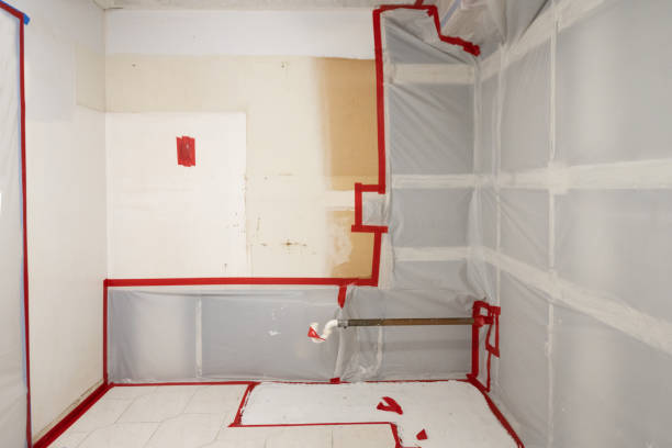 Best Industrial Mold Remediation  in Manawa, WI